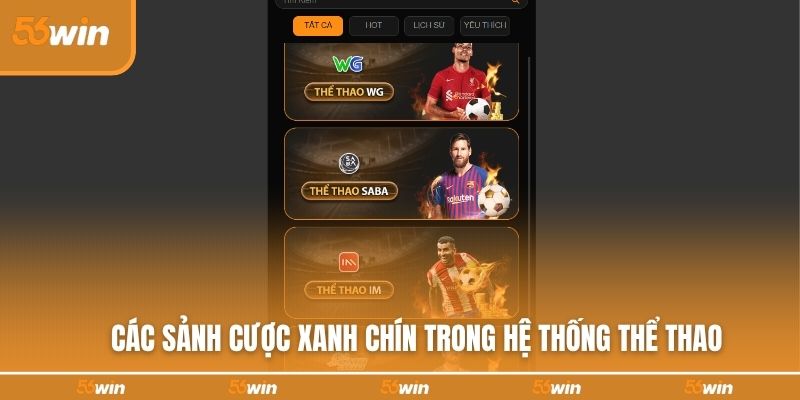 Các sảnh cược xanh chín trong hệ thống thể thao